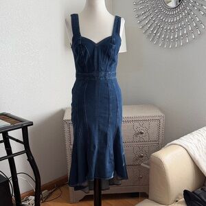 Express Elegant mermaid fit Blue Denim Dress 4